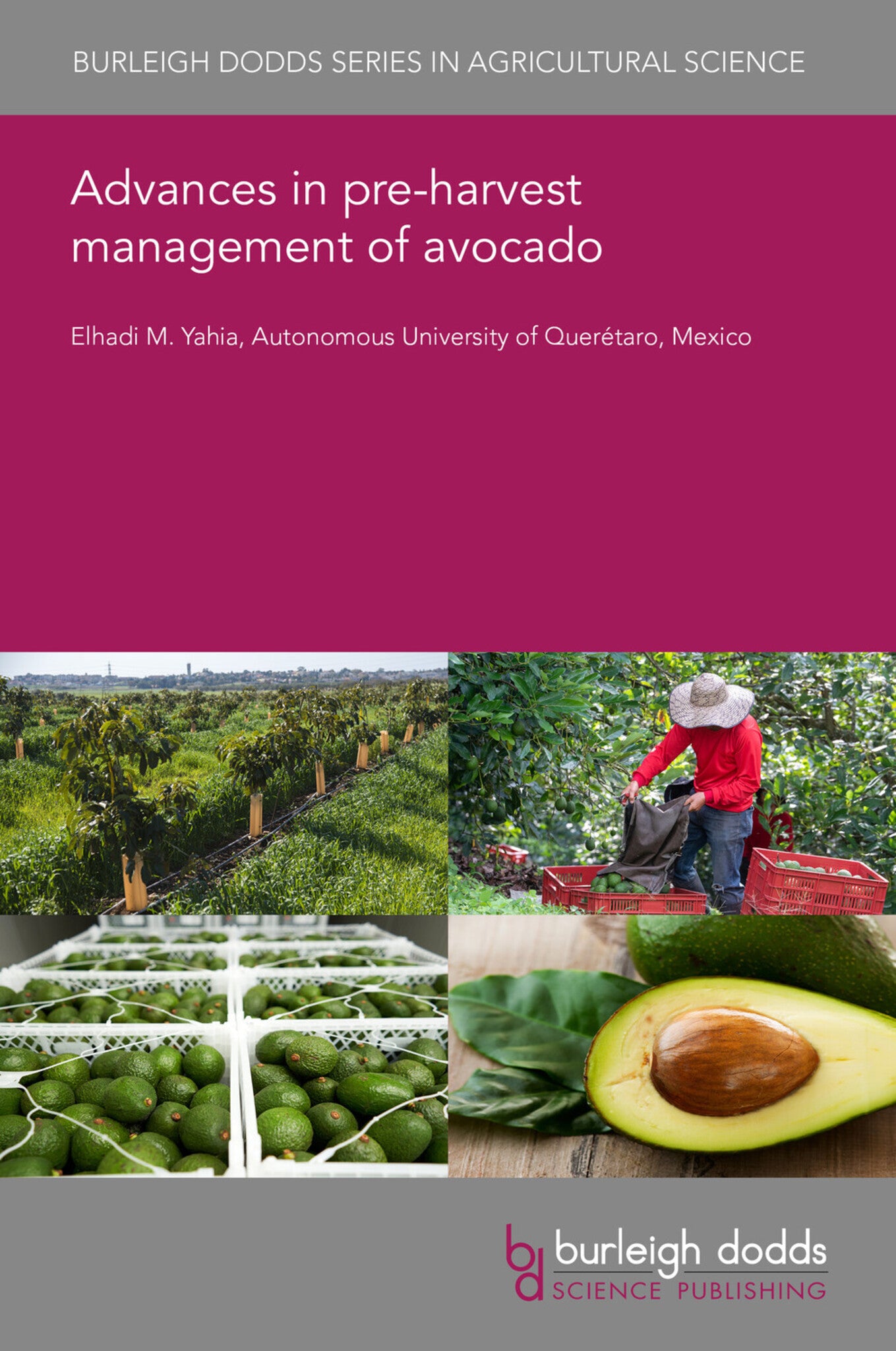 Cover image for Advances in pre-harvest management of avocado ISBN 9781801468268